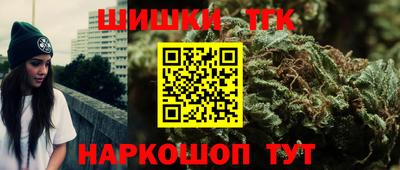 стаф Славгород