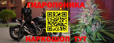 стаф Славгород
