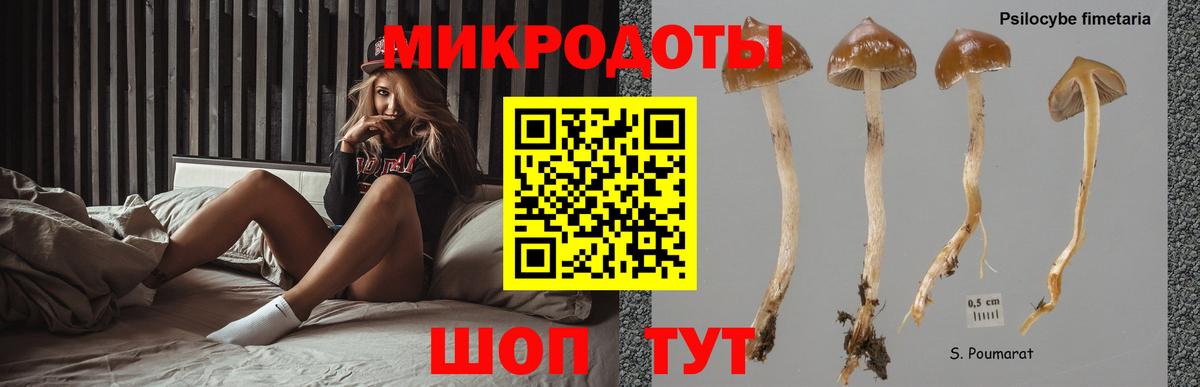 Омск  хочу   Вход с VPN  Псилоцибиновые грибы Magic Shrooms  Псилоцибиновые грибы ЛСД 